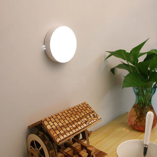 Motion Sensor Light for Home with USB Charging